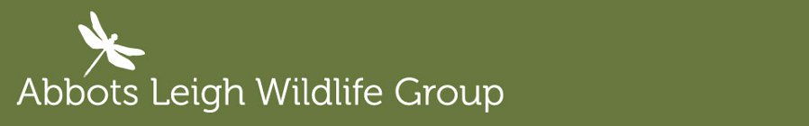 Abbots Leigh Wildlife Group